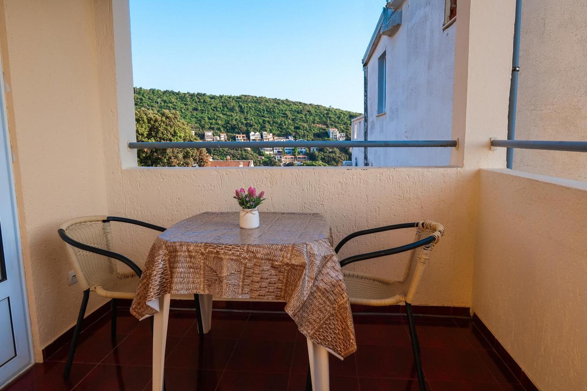 Apartment And Anicic *